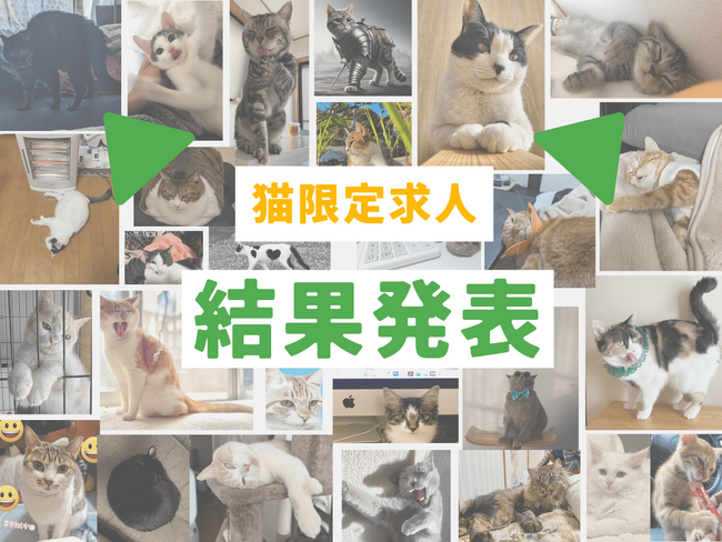 4/1猫限定求人の結果|たくさんのご応募ありがとうございました