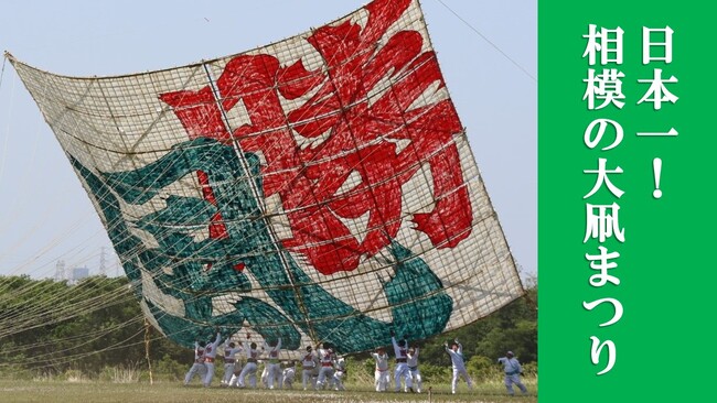 【相模原市】その大きさ日本一!GWは「相模の大凧まつり」を見に来ませんか?