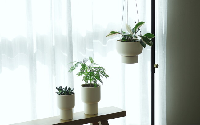インテリアを増やすような感覚で、植物のある暮らしを気軽に始められる植木鉢が新発売