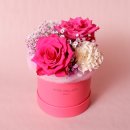 Colorful Gratitude 各色¥6,600 Size:W13×H20㎝ Colorful Gratitude 各色¥6,600 Size:W13×H20㎝