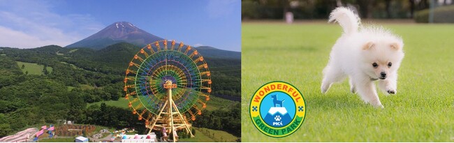 遊園地「ぐりんぱ」 4/27（土）から大型犬を含む全犬種が入園可能に