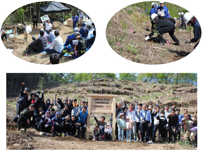 「山梨ちゅうぎん生物多様性の森」において植樹活動を実施しました