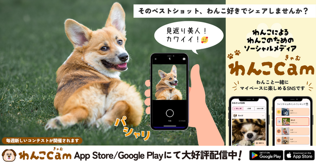 意外にも海外在住の日本人チームが開発！愛犬家に話題のソーシャルメディアアプリ『わんこCam』