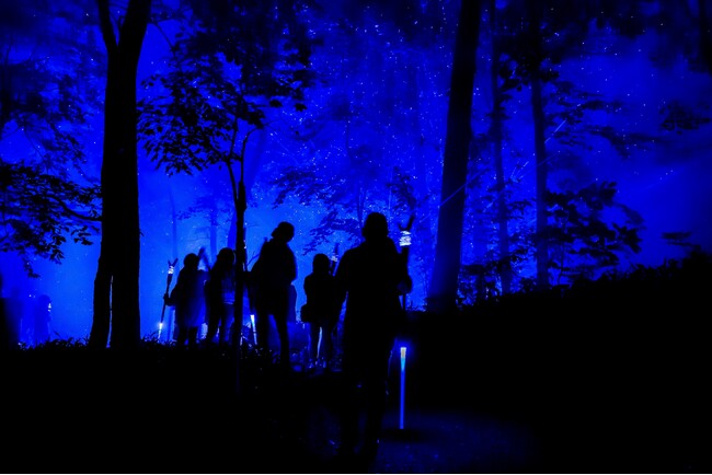 北海道、阿寒湖にて開催の体験型ナイトアクティビティ「KAMUY LUMINA（カムイ ルミナ）」。 鶴雅グループでは入場チケットが付いたお得な特別プランを販売開始！