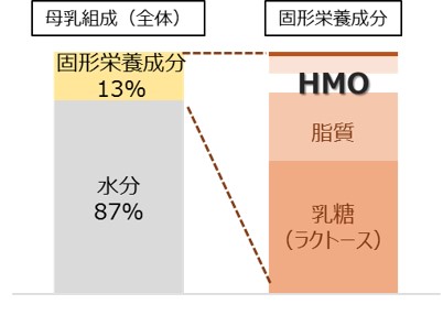 ヒトミルクオリゴ糖 3SLが欧州連合にて新規食品として承認