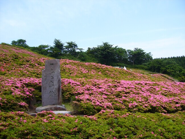 【奥湯河原温泉　山翠楼SANSUIROU】野口観光開業60周年記念宿泊プランのご案内