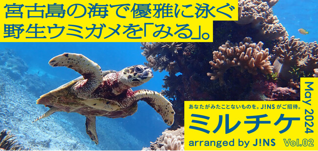 ちょっと特別な「見る」「観る」「視る」へ、JINSが毎月ご招待する「ミルチケ」 5月は宮古島でウミガメの神秘的な姿を「みる」