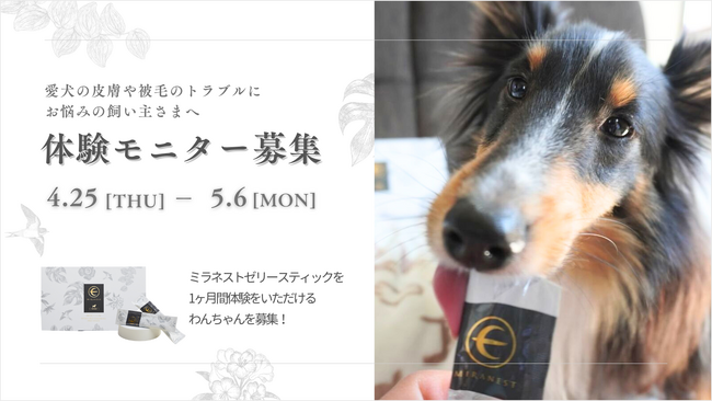 93％の愛犬家が実感！ペット用ツバメの巣体験モニター募集
