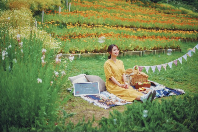 大人気の“手ぶらおしゃピク”企画「Garden Picnic2024」春シーズンのご予約を受付中。おしゃれアイテムをすべてレンタル。華やかなガーデンやロケーションが、上質で特別なピクニックを演出します