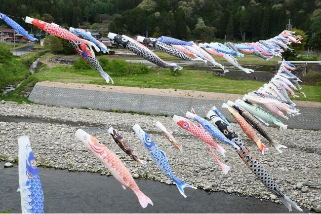 【岐阜県高山市】飛騨川の青空に泳ぐ約100匹のこいのぼり