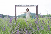 見て触れて香りを持ち帰ることができるイベント『らんざんラベンダーまつり』千年の苑ラベンダー園内で6/7～開催