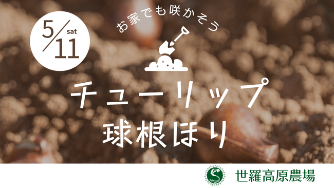 【広島/世羅】チューリップの球根ほりイベント開催《世羅高原農場》