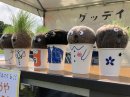 芝坊や 作品例 芝坊や 作品例