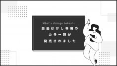 予算もダメージもライフスタイルもみんなバラバラ　100通りの白髪ぼかし・あなたに合ったプランを5月14日(火)に提供開始