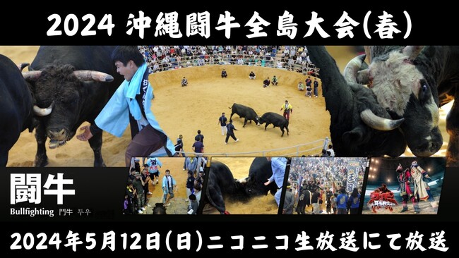 【5月12日(日)11時45分～】沖縄闘牛春の王者決定戦 第120回 全島闘牛大会 ニコニコ生放送にて放送！