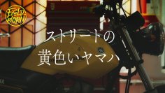 SDGs映像シリーズ「FIELD-BORN」の新作を公開