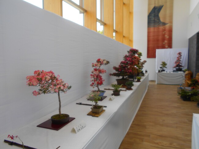 【愛知県半田市】5/20～5/22 盆栽展示・作り方相談会・即売会を開催します！＜半田市役所＞