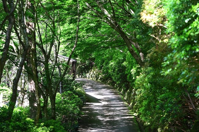 【奥湯河原温泉　山翠楼SANSUIROU】期間限定宿泊プランのご紹介、お盆を避けた宿泊がおトク！