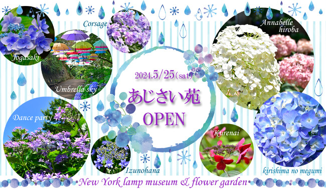 伊豆・城ヶ崎海岸のニューヨークランプミュージアム&フラワーガーデンで「あじさい苑」オープン