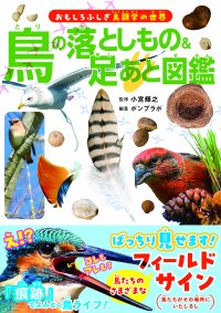 「フィールドサイン」がわかると野鳥たちの生態や行動を推測できるようになる!!『鳥の落としもの & 足あと図鑑』5月14日発売