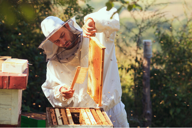 自然があなたをキレイにする「Maison de i-bee（メゾンドアイビー）」西オーストラリア産ジャラハニーの養蜂家 David Lindsay-Rae氏の来日が決定！