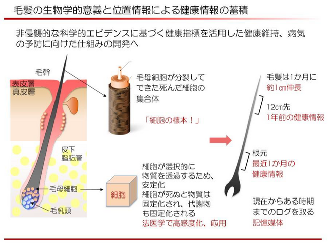 毛髪からの健康指標・健康検査に向けた毛髪成分の比較研究に関する論文が米国科学誌「PLOS ONE」に掲載