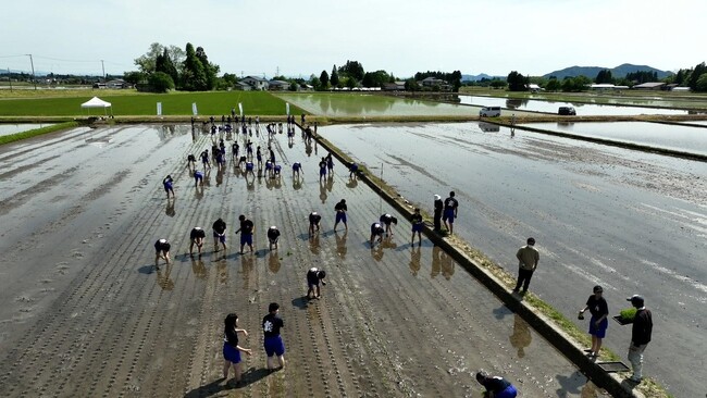 地元の中学生が農業の現場から海ごみゼロ宣言！【脱プラスチック肥料を使用した米作りで海ごみゼロ宣言！田植え篇】を開催！
