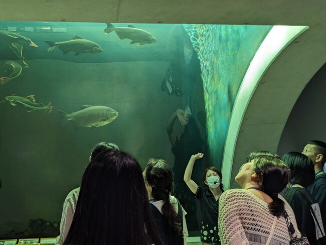 開館前のアトアをご案内!団体向け“朝ツアー”の申込開始!【神戸の水族館│アトア】