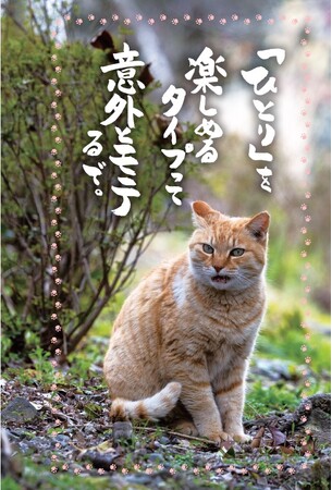 ほろりと泣けて、元気が出る!!　SNSフォロワー60万人の「ネコ坊主」待望の書き下ろしは、にゃんこの金言でモヤモヤが晴れる「読むパワースポット」