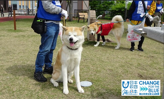 新マナー習慣！愛犬と清掃活動であきたの海ごみゼロへ！「犬の散歩でごみ拾いキャンペーンIN大館」を開催しました。