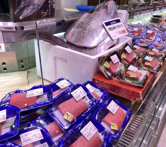 【阪神梅田本店】本年初水揚げ！鳥取県・境港から「天然生本マグロ」が到着しました