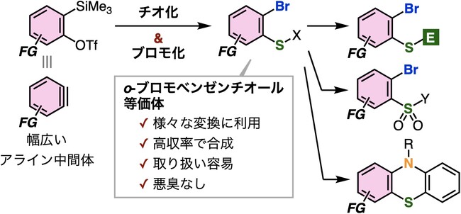 高機能有機硫黄化合物の合成に有用なo-ブロモベンゼンチオール等価体の新合成法を開発 ～炭素-硫黄結合、炭素-臭素結合を一度に形成する効率的な合成法～
