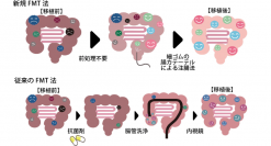 自閉スペクトラム症の分野では国内初の腸内細菌叢移植による自閉スペクトラム症の治療に関する臨床研究の報告　第8回学術大会 9月22日(日)開催　リーガロイヤルホテル大阪