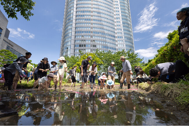 【六本木ヒルズ×鳥取県】地上45m、都心の屋上庭園に“星”を描く！「星取県」自慢のオリジナル米を高層ビルの屋上で育てる　鳥取県「星空舞」田植えイベント