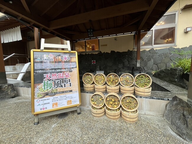 天然温泉こまき楽の湯を食料ロスの梅で埋め尽くします!スーパー銭湯がすっぱい銭湯に!