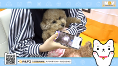 PHR「カルテコ」180秒TVCM、TVQで放映　6月3日、10日、17日、24日、22:58～