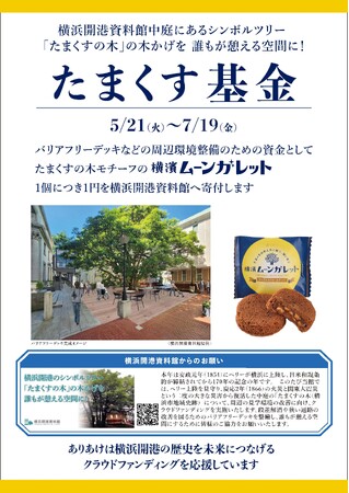「たまくす基金」を通じた「たまくすの木」の周辺環境整備への支援が決定【横浜開港資料館】