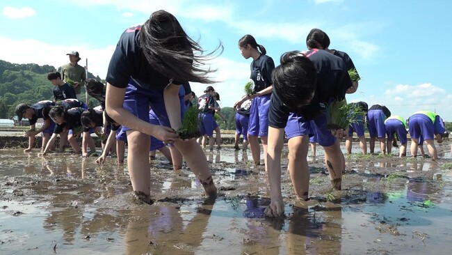地元の中学生が農業の現場から海ごみゼロ宣言！脱プラスチック肥料を使用した米作りで海ごみゼロ宣言！田植え篇を開催しました。