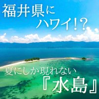 福井県の無人島「水島」へのフェリー運航が7月13日開始　7～8月しか渡ることのできない“海の楽園・北陸のハワイ”