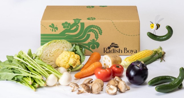 野菜の価格高騰でも「らでぃっしゅぼーや」の旬野菜サブスクサービス”めぐる野菜箱“は値段そのまま！