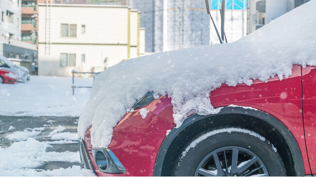 「ゆりもっとシーズンレポート」 年間で約39,000トンのCO2削減に成功