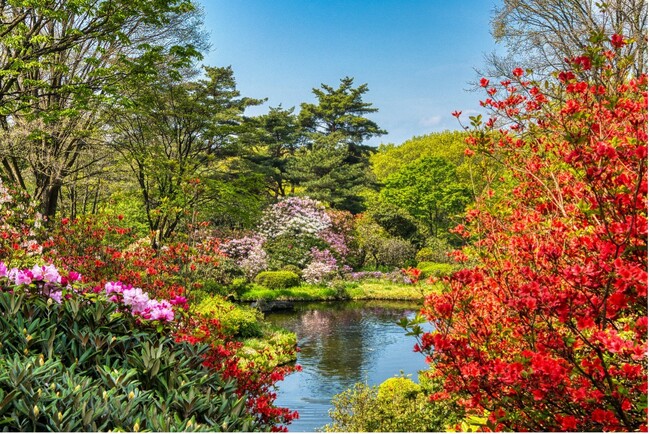 クレディセゾンと提携発行するCO2排出量を可視化できるクレジットカード「SAISON CARD Digital for becoz」、赤城自然園コラボサービスを提供