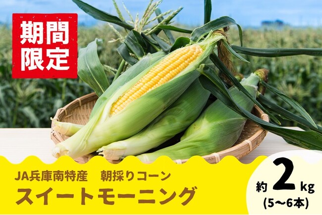 甘さがぎゅぎゅっと！　兵庫県産「スイートモーニング」の予約販売開始！6月下旬頃順次発送！
