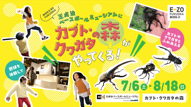 夏休みは野球と昆虫に触れよう！「カブト・クワガタの森」開催決定！