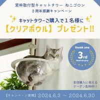 窓枠に取り付けができるキャットタワー『ねこゴロン』　3周年を記念してプレゼントキャンペーンを6月3日(月)より開催