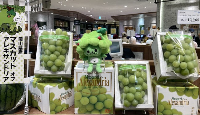 【阪神梅田本店】「マスカット・オブ・アレキサンドリア」2024年産が初入荷しました！