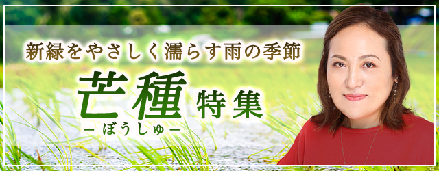 突然ですが占ってもいいですか【2024年下半期占い】大串ノリコが占う2024年下半期の運勢。公式占いサイトにて二十四節気「芒種特集」を開催中