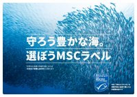 MSCジャパン「守ろう豊かな海。選ぼうMSCラベル」キャンペーン
ココリコ田中さんが水産資源の危機について遠藤さんに語る動画を公開
～クイズに答えて「MSCオリジナルさかなかるた」をゲットしよう！～