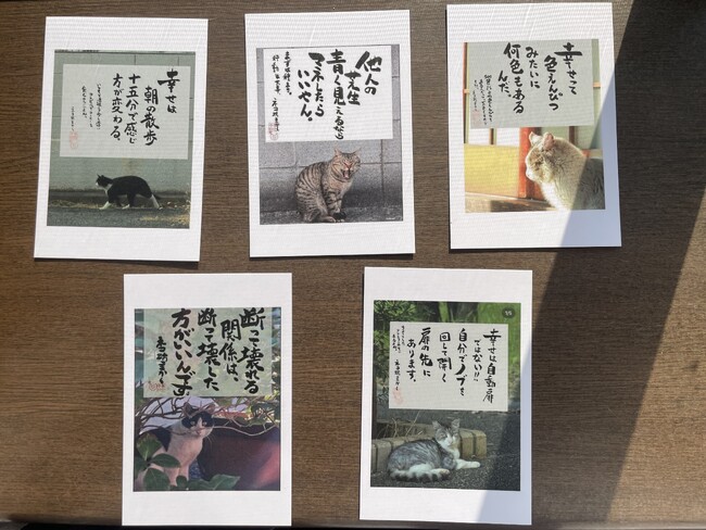 SNSで超人気「ネコ坊主」が６月１５日に新刊記念トーク＆サイン会開催　先着50名に心のモヤモヤがスーッと晴れる特製「ねこみくじ」プレゼント!!