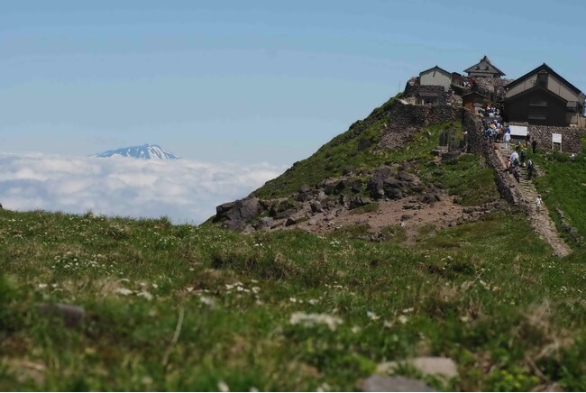 高山植物の宝庫「月山（がっさん）」の山開きは７月１日（月）　９月中旬まで多様な花々が月山を彩ります　休暇村庄内羽黒では、ハイカーにうれしい「おにぎり弁当付き」宿泊プランを販売します